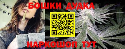 молекула духа Краснодар