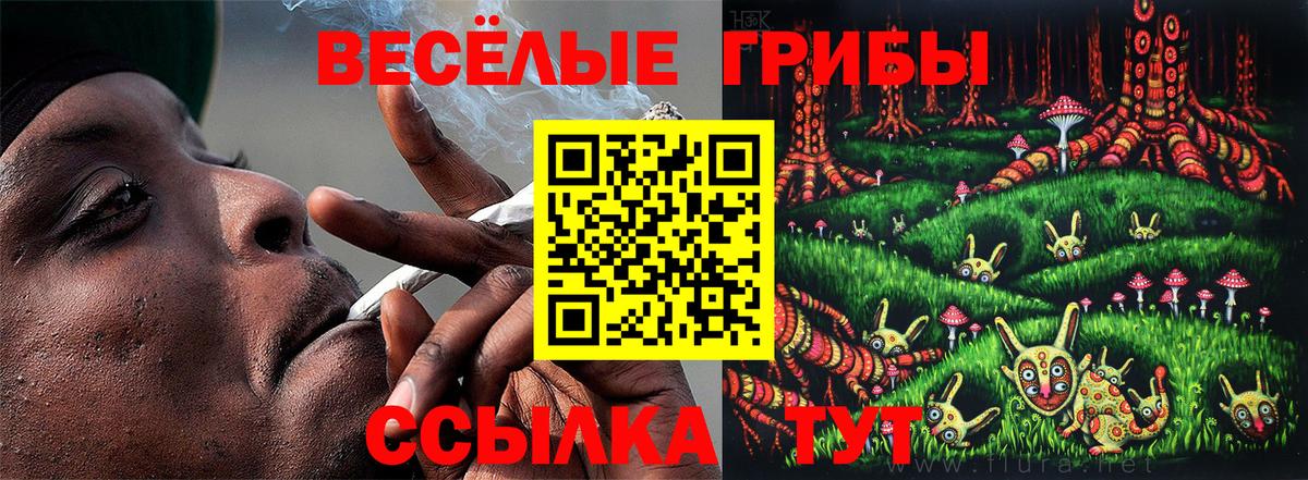 Галлюциногенные грибы Magic Shrooms Гулькевичи