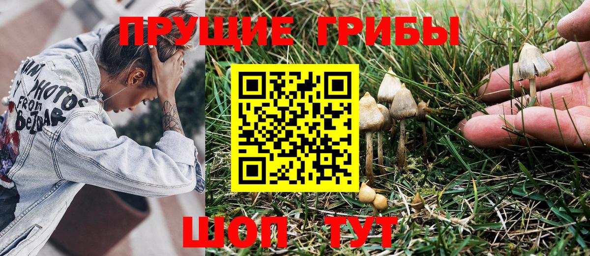 Псилоцибиновые грибы ЛСД  Вход с VPN  Гулькевичи 